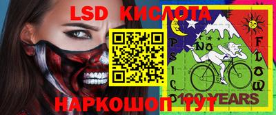 a pvp Гагарин