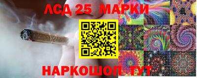 ПСИЛОЦИБИНОВЫЕ ГРИБЫ Гатчина