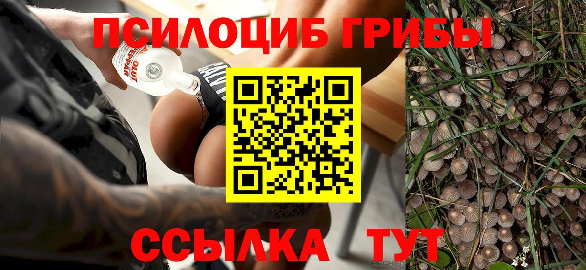 Галлюциногенные грибы Magic Shrooms Саранск