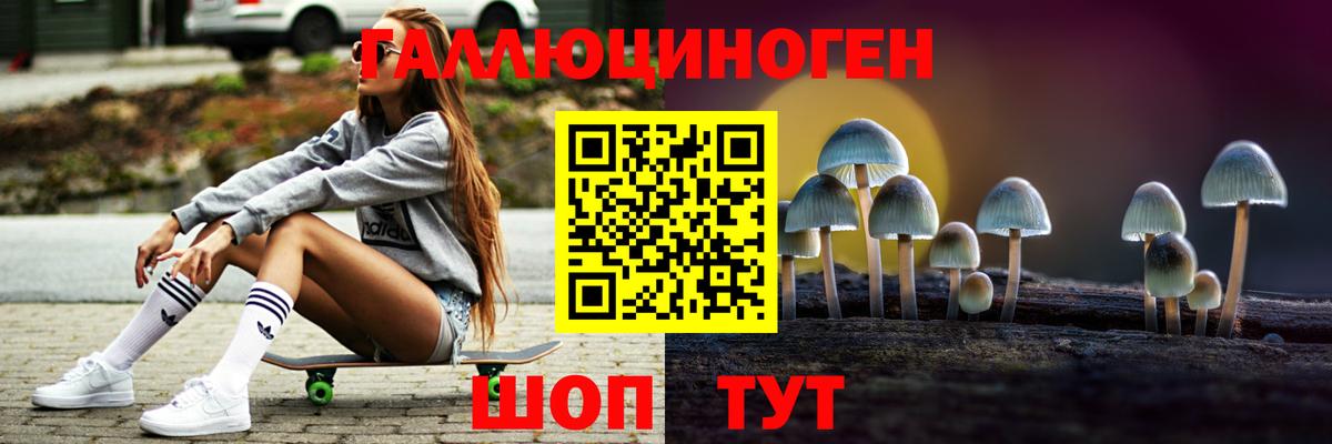Саранск  Галлюциногенные грибы прущие грибы  Вход с VPN 