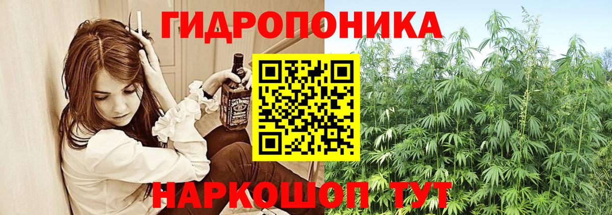 Конопля конопля Саранск